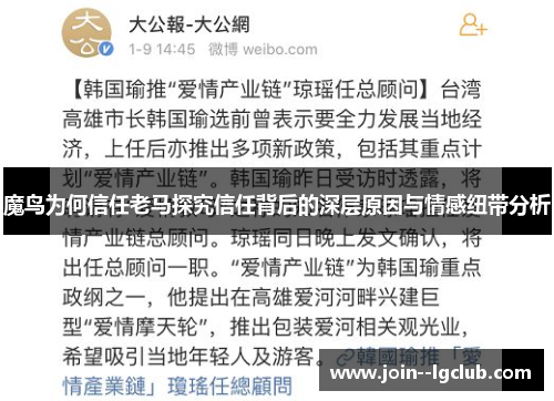 魔鸟为何信任老马探究信任背后的深层原因与情感纽带分析